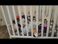 dream on me 3 in 1 folding portable crib quick review