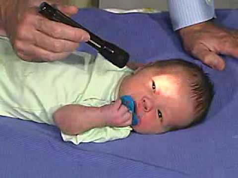 Physical Exam -Newborn Normal:Behavior - YouTube