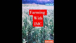 👍Imc 💥product se 🎉farming💯 #imc #farming #shortsfeed #agriculture #villagelife