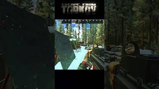 ワイプ1日目に冬のWoodsでクワガタ(LEDX)を採取してしまう - #escapefromtarkov  #eft #タルコフ