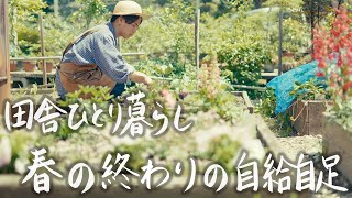 【Sustainable Rural Life in Japan】Preparing for a self-sufficient life for the summer.