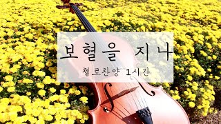 1시간 첼로 찬양(Cello Hymn 1 hour) - 보혈을 지나 (By the Blood of the lamb) Cover by 첼로피아Cellopia