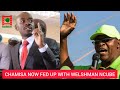 Chamisa is now fed up with Welshman Ncube