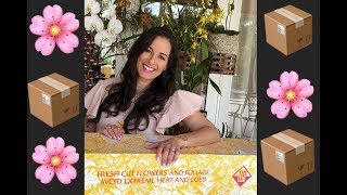 Unboxing HUGE Orchid Order, Carmela Orchids, Part 1, Orchid Diva