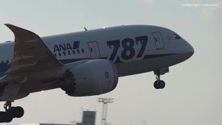 鹿児島空港 All Nippon Airways (ANA) Boeing 787-8 Dreamliner JA818A 離陸 2013.11.30