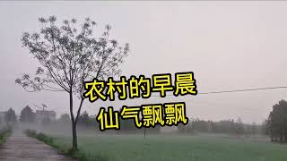 农村人小病扛着，大病拖着，没办法的时候直接放弃，让人心酸无奈