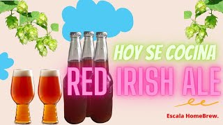 Prepara tu propia Red Irish Ale, Cerveza Roja, Cerveza artesanal Saga.