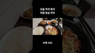 오늘 우리 회사 밥 #shorts #삼식이 #231208