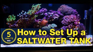 Saltwater aquarium setup - A simple, easy guide in 5 minute steps.