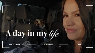 Vlog: Knox surgery update! Day in the life \u0026 project updates!