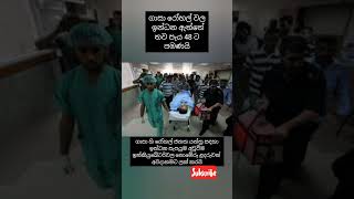 ගාසා රෝහල් වල නොමේරූ ළදරුවන් අනතුරේ (Premature babies at risk in Gaza hospitals) #shorts