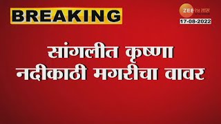 Sangli Krishna River | सांगलीतील कृष्णा नदीच्या पात्रात 12 फुटांची मगर, नागरिकांमध्ये भीतीचं वातावरण