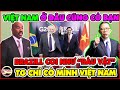 Chuyên Gia Trung Quốc Bất Ngờ Nhận Định Thế Này... Khi Việt Nam và Brazil Nâng Cấp Quan Hệ