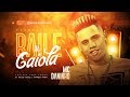 MC DANINHO - BAILE DA GAIOLA