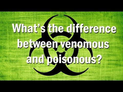 What's The Difference Between Venomous And Poisonous? - YouTube