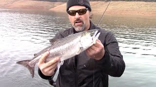 Big Oroville King Salmon