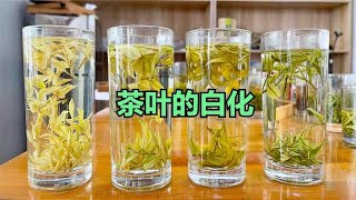 【茶农王大鹏】都说茶叶的水很深，今天就说说“白化绿茶”，这价格相差是真离谱