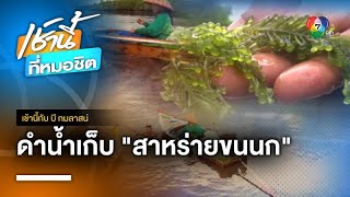 ดำน้ำเก็บ “สาหร่ายขนนก” อาชีพสร้างเงินล้าน จ.ตรัง | เช้านี้กับ บี กมลาสน์