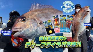 【フィッシングマスター】福井県鷹巣沖のディープタイラバ攻略！！