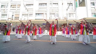 [4K] 泉州ソーリャ踊り子隊　ザ・まつり in Izumisano 2019