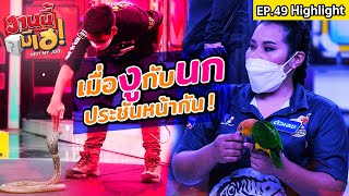 เสนาหอยและดีเจมะตูม มาปล่อยงูและนกกันกลางรายการ | งานนี้มีเฮ | EP 49 | 19 มี.ค. 65