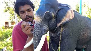 Making session of Mangalamkunnu Ganapathy | Aanamaker