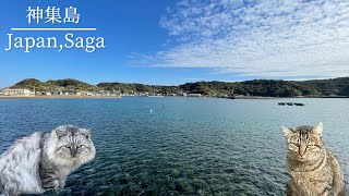 【離島散策】神様が集まる島(神集島)へ行く