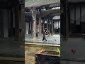 女孩练枪志昂扬，回马枪威惊风雨， 一招一式展锋芒！ huangyanmartialarts kungfu martialarts china fujian