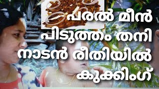 പരൽ മീൻ പിടുത്തം തനി നാടൻ രീതിയിൽ  കുക്കിംഗ്/LOCAL FISHING AND COOKING/KERALA STYLE SPECIAL FISH FRY