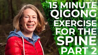 15 Minute Qigong Exercise For The Spine Part 2 | Qigong For Beginners | Qigong For Seniors