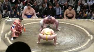 Endo (3-5) - Sekiwake Tochinoshin (7-1) , Sumo : Natsubasho '19