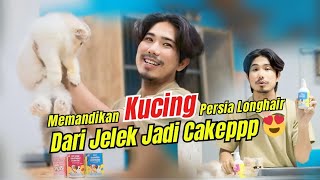 MEMANDIKAN KUCING LONG HAIR , AUTO CAKEP DAN GEMBUL