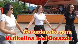 🔴 Goraždanke kolo vode - Ustikolina kod Goražda - Irfan, Reva i Midho Bend - Bosanski teferič