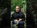 عیار چغندرراهکارهای رشد انفجاری چغندر آموزش_کشاورزی کود_کشاورزی کشت_چغندر