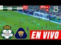 Santos Vs Pumas En Vivo | Partido Hoy Santos Vs Pumas En Vivo | Donde Ver Jornada 7 Santos Vs Pumas