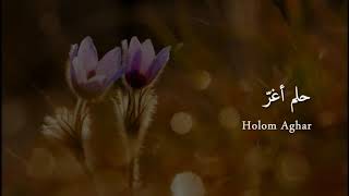 (Holom Aghar) by Muhammad al Muqit...