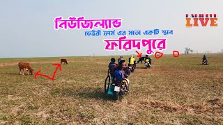 নিউজ্যল্যান্ড এর ডেইরী ফার্ম  এর মতো একটি যায়গা আকোটের চর,সদরপুর উপজেলা।