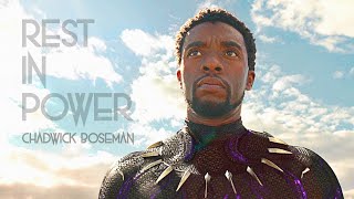 Black Panther | I'm Not Dead Scenes - IMAX 4K