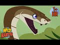 Epic Animal Battles | Discover the Power of Wildlife | Wild Kratts | 9 Story Kids