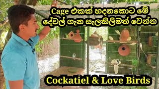 Points to be considered when making love birds powder | Love bird cage | Rv Fancy Bird