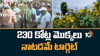 Green Challenge : 230 కోట్ల మొక్కలు నాటడమే టార్గెట్ | Haritha Haram | 10TV