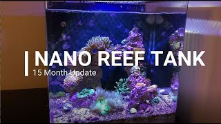 Easy Cheap Nano Reef - 15 Month Update