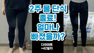 [다이어트 브이로그#7] 2주 물 단식 종료! 과연 얼마나 빠졌을까? 몸무게 변화, 눈바디 변화! 단식 꿀팁/얼굴...공개?/보식 계획/사워크라우트/귀멸의 칼날 무한열차/포토플레이