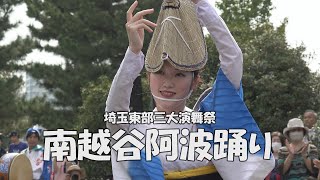 南越谷阿波踊り「いなせ連ほか」➊フルバージョン - 埼玉東部三大演舞祭（2023.11.4）