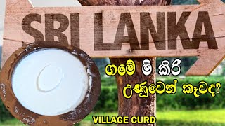 උණුවෙන්ම මී කිරි කාල නැද්ද ? Sri Lankan Village Curd | Soo Good Taste | Life Machan