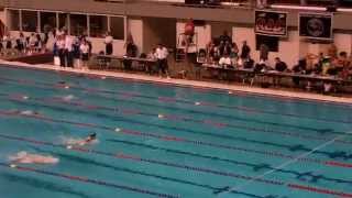 Mitch Hovis 200 LC Meter Breaststroke Prelim Swim 2014 LC PNS Championship