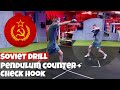 Pendulum Counter & Check Hook | McLeod Scott Boxing