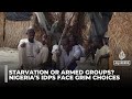 Northeast Nigeria faces humanitarian crisis as WFP halts aid to IDP camps