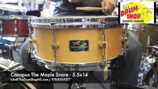 SOLD - Canopus The Maple Snare 5.5x14 - The Drum Shop North Shore