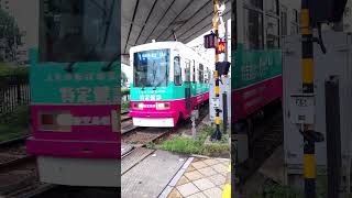 【鹿児島市電2131 号】新川4号踏切を通過します。　#shorts #路面電車  #tram